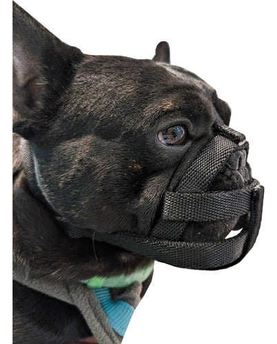 FTZ® Basket Muzzle for Bulldogs and Short-Muzzled Breeds 0