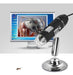 USB Mini 1000 X 8 LED Digital Microscope Endoscope Loupe Camera 1