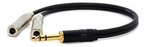 Cable Adaptador Audio Plug 6,5 Stereo A 2  6,5 Hembra Mono 2