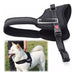 Petdog Control Harness for Dogs - Padded Size L with Car Belt 4