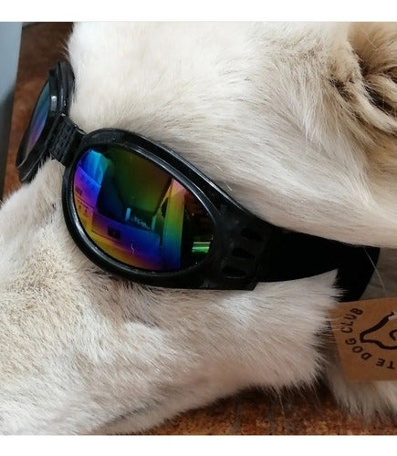 Lentes Para Perros, Anteojos De Sol, Gafas, Sunglases 2