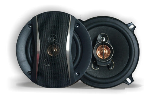 Matrix Combo Speakers 6x9 600w + 5 1/4 + Tw 200 3