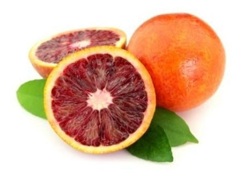 Naranja Sanguínea. Cultivar Tarocco Rosso 0