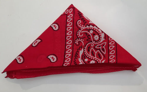 Pañuelos Bandanas: Over 20 Colors Available! 3