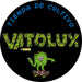 Vatolux Dual 250W Indoor Cultivation Ballast 1