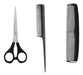 ProBasic Hair Cutting Scissors + EuroStil Tail Comb + LucyDan Professional Thinning Comb 0