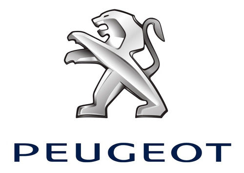 Original Peugeot Citroen 2.0 16V Diesel Fuel Filter 1