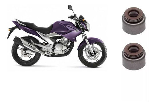 Retentor De Válvula Yamaha Fazer 250 (2007-2019) 2 Pçs 0