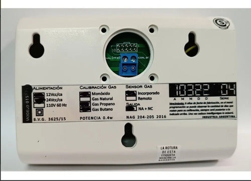 IntelligentGas Dual Gas and Carbon Monoxide Detector for Motorhome 5