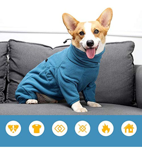 Rozkitch Abrigo De Invierno Para Perro, Pijama De 3