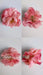 Set De 6 Broches  Flor Peonia  Surtidas 4