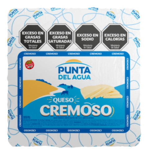 Ilolay Queso Cremoso Punta De Agua Y Reggianito Combo Familiar X 2 Piezas 1