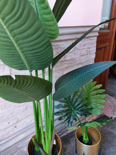 Planta Artificial  Tipo Bananero 80cm (fa208) 2