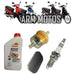 Zanella ZB Gilera Smash 110 - Economical Service Kit 0