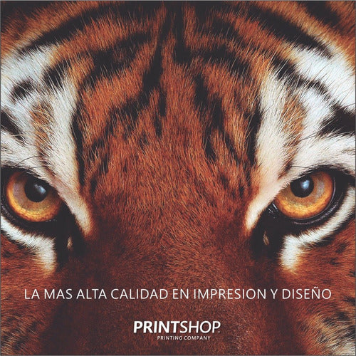 Tarjetas Personales Color Printshop 9x5 300g Doble Faz X1000 3