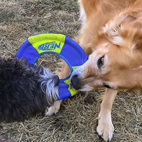 Nerf Dog Juguete Para Perros Con Anillo Para 1