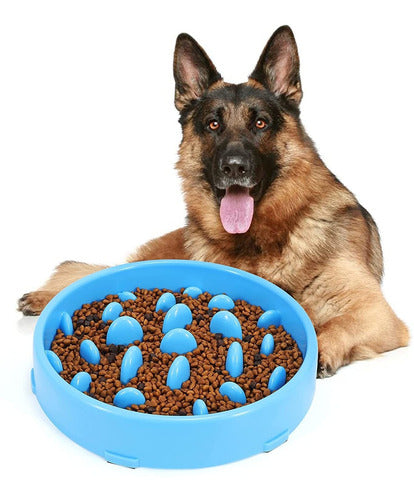 Jasgood Slow Dog Bowl for Large Dogs, Fun Feeder, Anti-Gulping Slow Feeder Stop Bloat, Slow Eating Big Pet Bowl 0