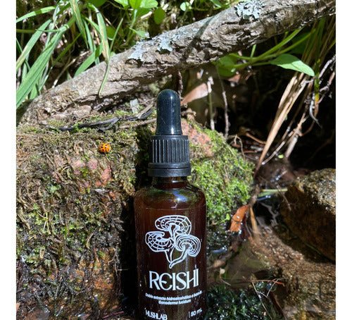 Mushlab Reishi Mushroom and Lion's Mane Extract 50ml - 1 Month 1