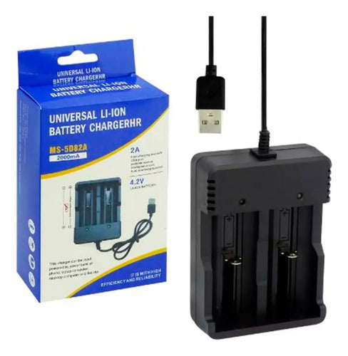 Cargador Usb Universal Pilas Aa Aaa Bateria Recargables Febo 0