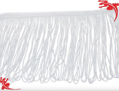White Fringes 25 Cms, Clothing/Costume, Dance, Carnival X 2 Meters 0