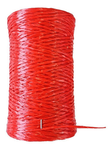 Textil Ser S.A. Twisted Plastic UV PEAD Thin Thread for Packaging - Pack of 24 0