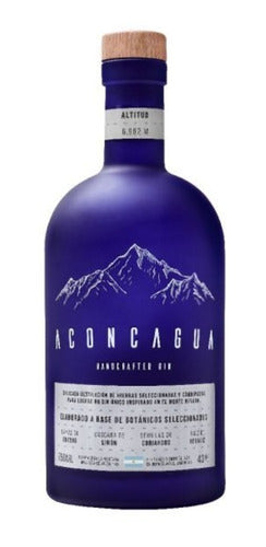 Príncipe de los Apóstoles Gin + Aconcagua London Dry 750ml Gobar® 1