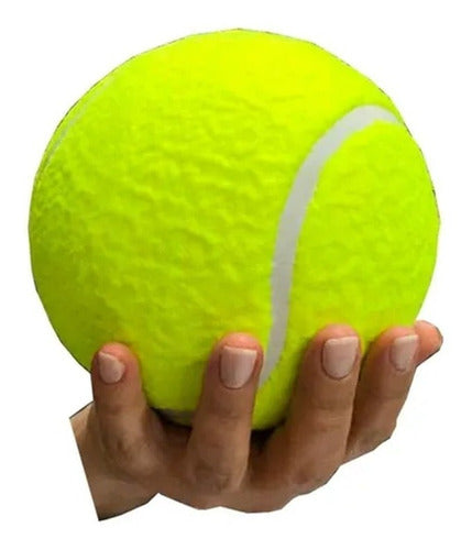 Fullimport Kids Tennis Ball No. 2 - Medium Toy for Dogs and Children 1