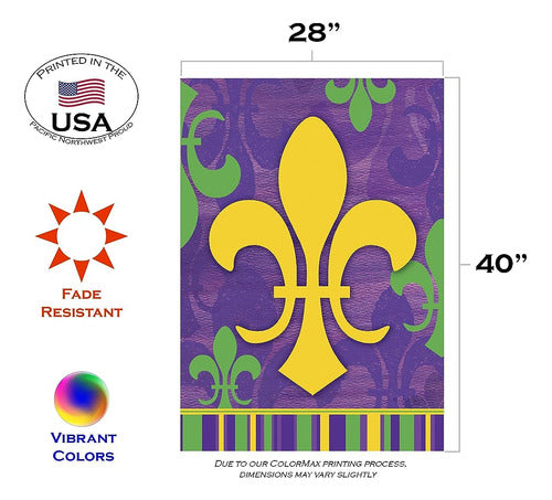 Toland Home Garden 1010919 Fleur De-lis Collage Mardi Gras F 1