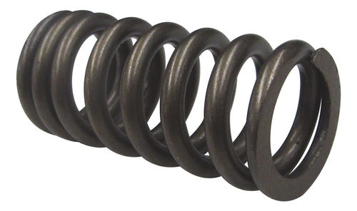 Valve Spring VW Amarok - Ven-Tig - I10281 1