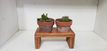 Artesanal Plant Holder for Cactus and Succulent - Double Wood with Pots 1