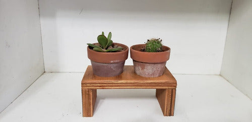 Artesanal Plant Holder for Cactus and Succulent - Double Wood with Pots 1