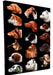 Wall Key Holder Dogs Various Models 15x20cm (14) 8