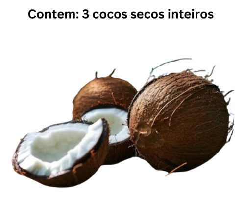 3 Cocos Secos Inteiros C/casca Cocada Nucífera 3