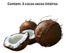 3 Cocos Secos Inteiros C/casca Cocada Nucífera 3