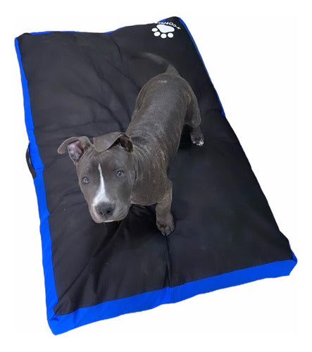 Mascotitas Small Dog Bed / Tear-Resistant / Waterproof + Cushions 0