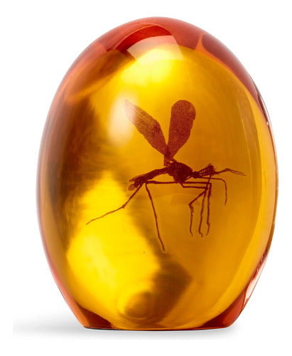 Jurassic Era - Mosquito in Amber - Jurassic Period 0