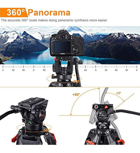 Generic Professional Heavy-Duty Video Tripod 1