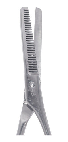 Hairdressing Scissors Polishing Thinning 5.5 Mod.46 + Stainless Steel Razor 5