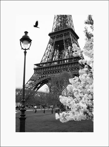 Fine Art Photo Print Eiffel Tower Black and White 50x70 cm 1