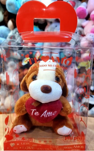 Teddy Bear with Heart + Gift Box - Valentine's Day Souvenir 2