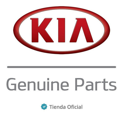 Espiral De Suspensión Delantero Kia Sportage Km 1