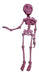 Articulated 3D Skeleton Toy - Choose Your Desired Color 13