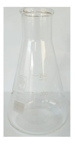 Erlenmeyer De Vidro Boca Estreita Graduado 250ml Borosilicat 1