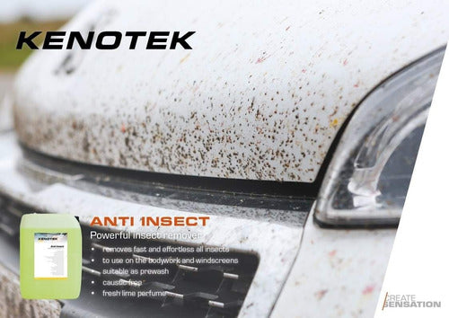 Kenotek Pro Insect Eliminator for Wash Bays 1 Liter 1