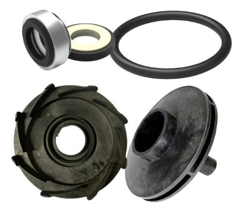 Interior Pump Spare Parts Kit for Vulcano BAE/BAT/BAP 050 0