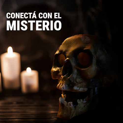 Cabeza Calavera Craneo Decoracion Cotillon Halloween Disfraz 1