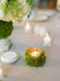 Natural Moss Decorative Dry + LED Light Centerpiece 50g 4