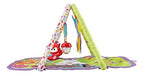 Fisher-Price Musical Activity Gym 3-in-1, Woodland 6