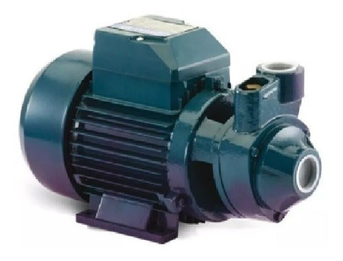 Reymu QB60 1/2HP Peripheral Water Pump 0