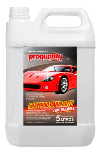 Pro Quality Auto Washing Kit: Brush + Shampoo + Squeegee + 10 Cloths 1